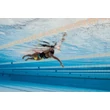 FINIS ANKLE BUOY - FINIS AXIS BOKÁRA ERŐSÍTHETŐ BÓJA (S)