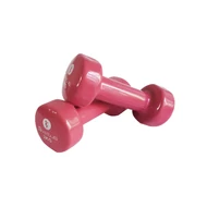 SVELTUS EPOXY DUMBELL egykezes kézisúlyzó (2 KG)