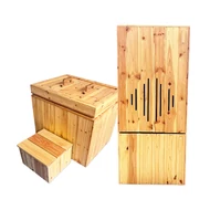 IceCube MINI - Basic