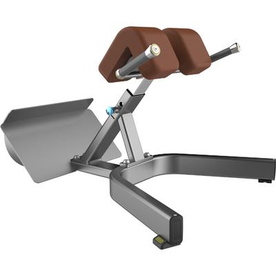DHZ BACK EXTENSION1- mélyhátizom gép