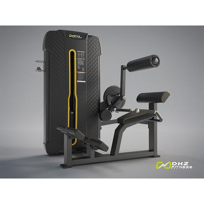 DHZ BACK EXTENSION- mélyhátizom gép